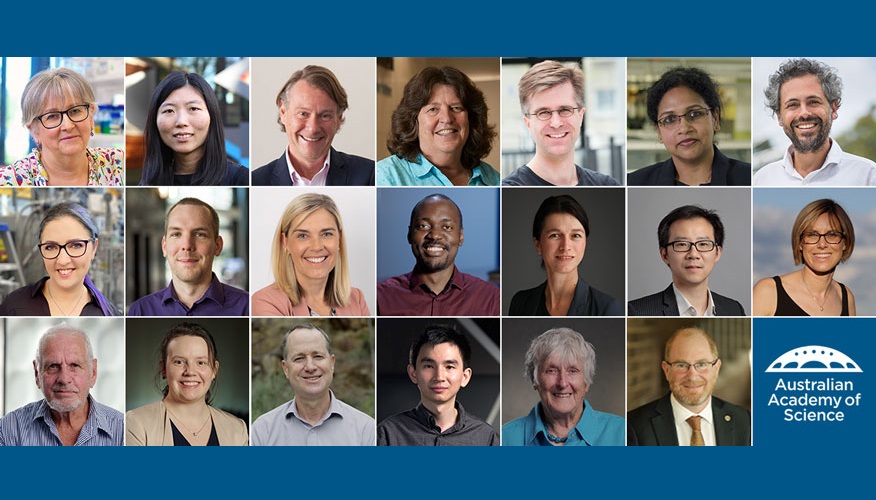 2022 awardee card listing