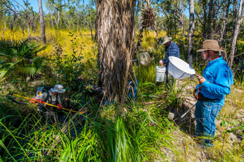 Leading scientists to give evidence to Senate inquiry into Australia’s unprecedented bushfires-thumbnail