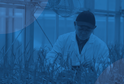 Scientist working with plants