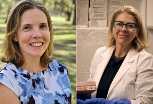 Cryopreservation and urban biodiversity: funding awarded to two research conferences focused on protecting Australia's wildlife-thumbnail